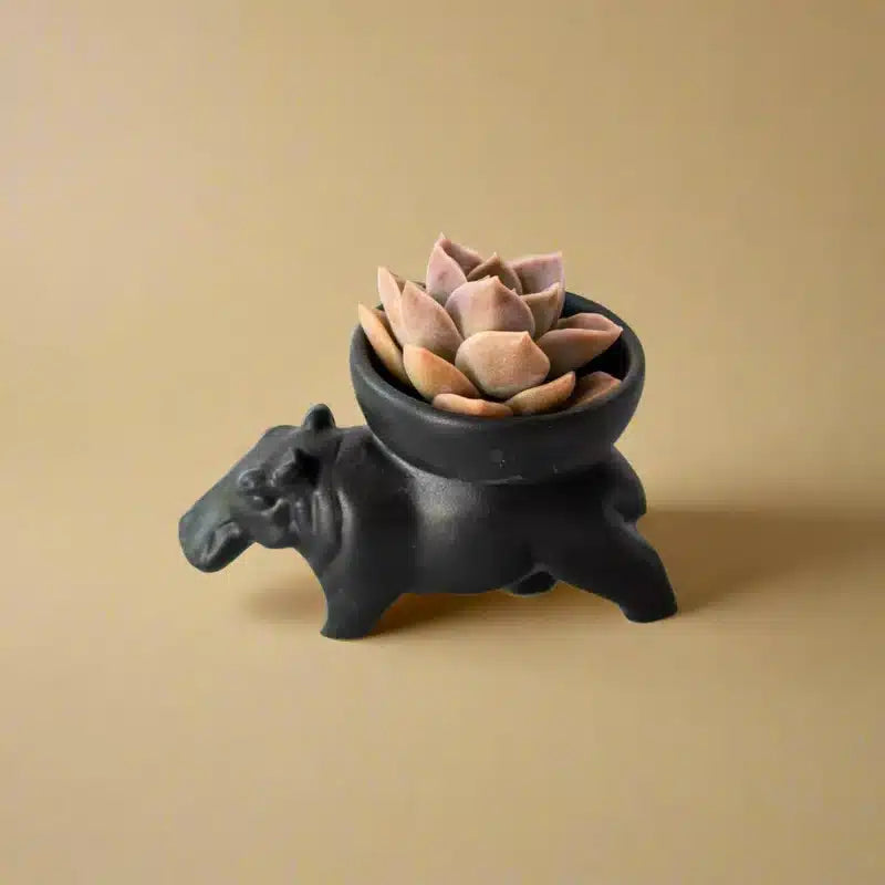 Huberta Hippo Bowl Large