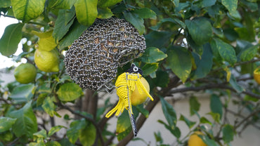 Beaded Birds and Nest